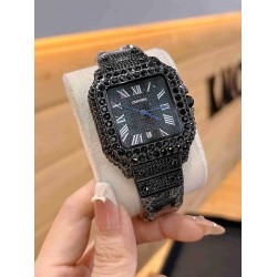 CARTIER   B Santos CA0677