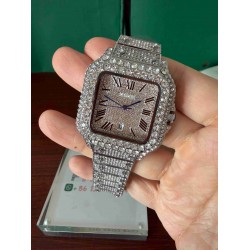 CARTIER   B Santos CA0695