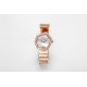 Dior watch DIW0017