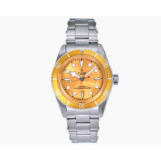 TUDOR  41mm DT0042