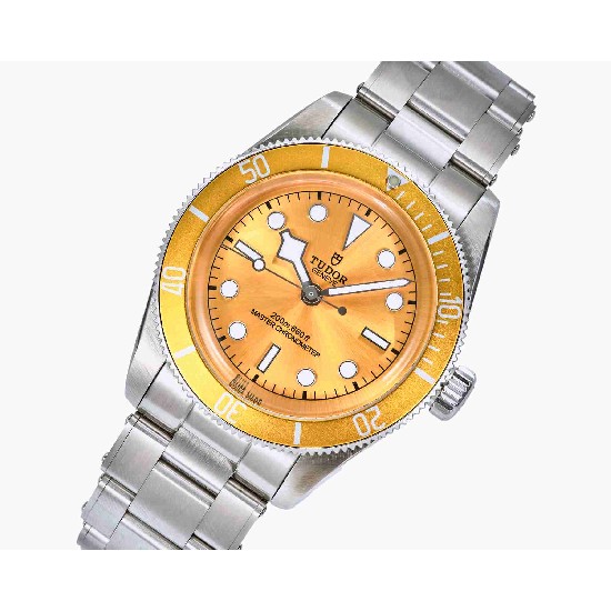 TUDOR  41mm DT0042
