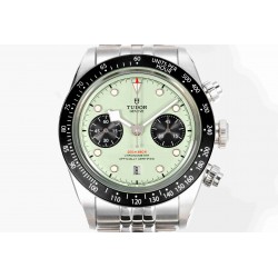 TUDOR  41mm DT0059