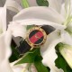 Gucci Watch GUW0002