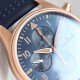 IWC PILOT´S WATCHESES IW0139