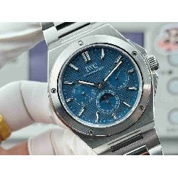 IWC  INGENIEUR WATCHES IW0201