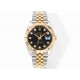 ROLEX   Datejust 41 (Free-sprung) RFS0025