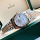 ROLEX   New Datejust 41 RO0183