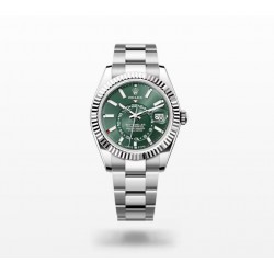 ROLEX  2023 Sky-Dweller RO1491