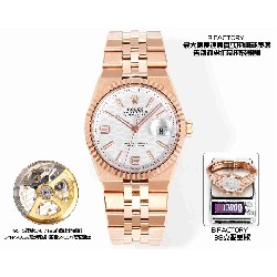 ROLEX   Land-Dweller 36 RO1894