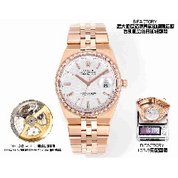 ROLEX   Land-Dweller 40 RO1895