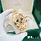 ROLEX    Daytona RO1985
