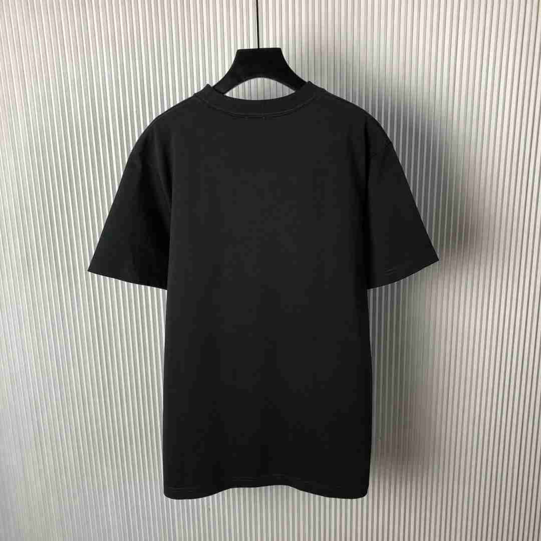 Dior T Shirt DIY0313 Dior T Shirt DIY0313