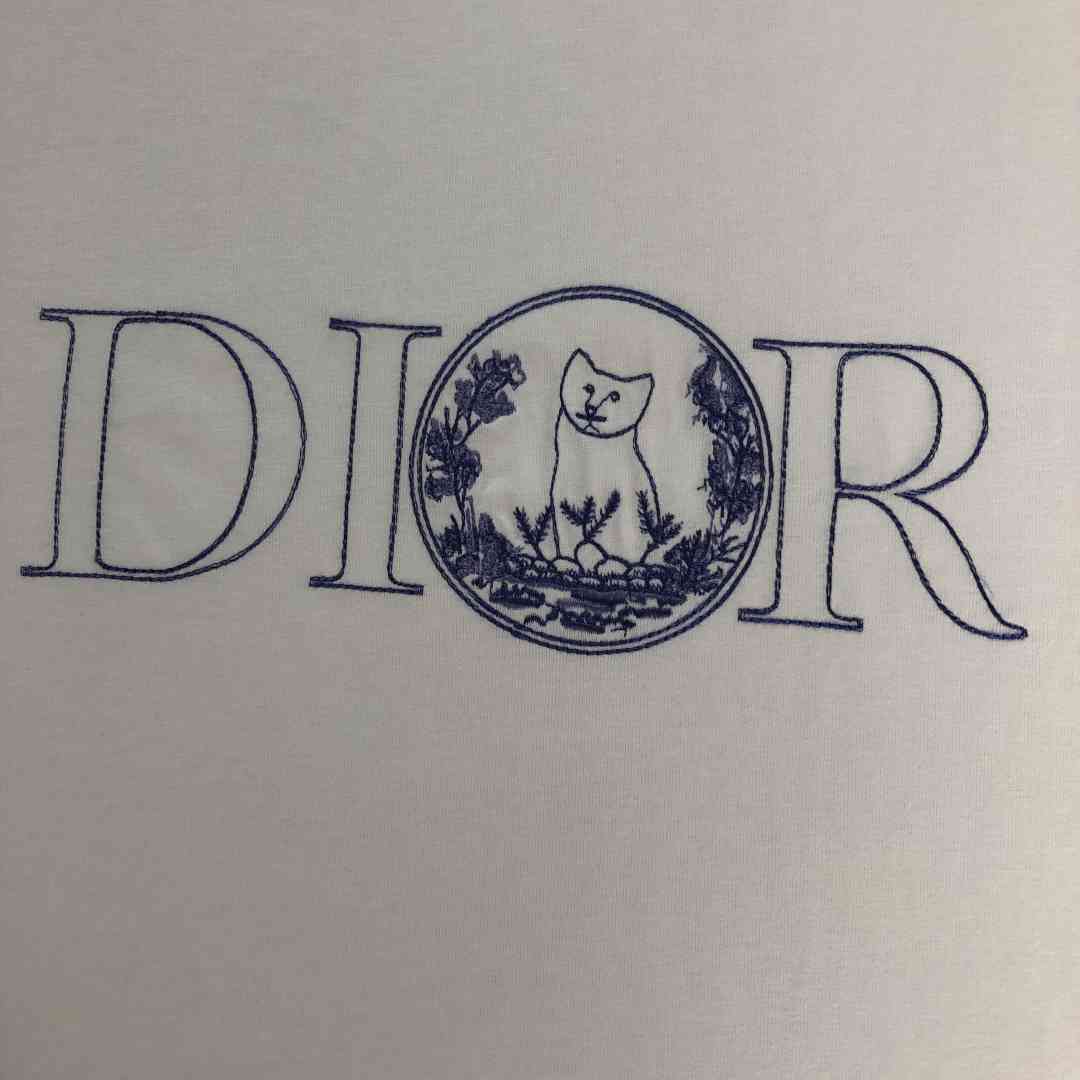 Dior    T Shirt DIY0321