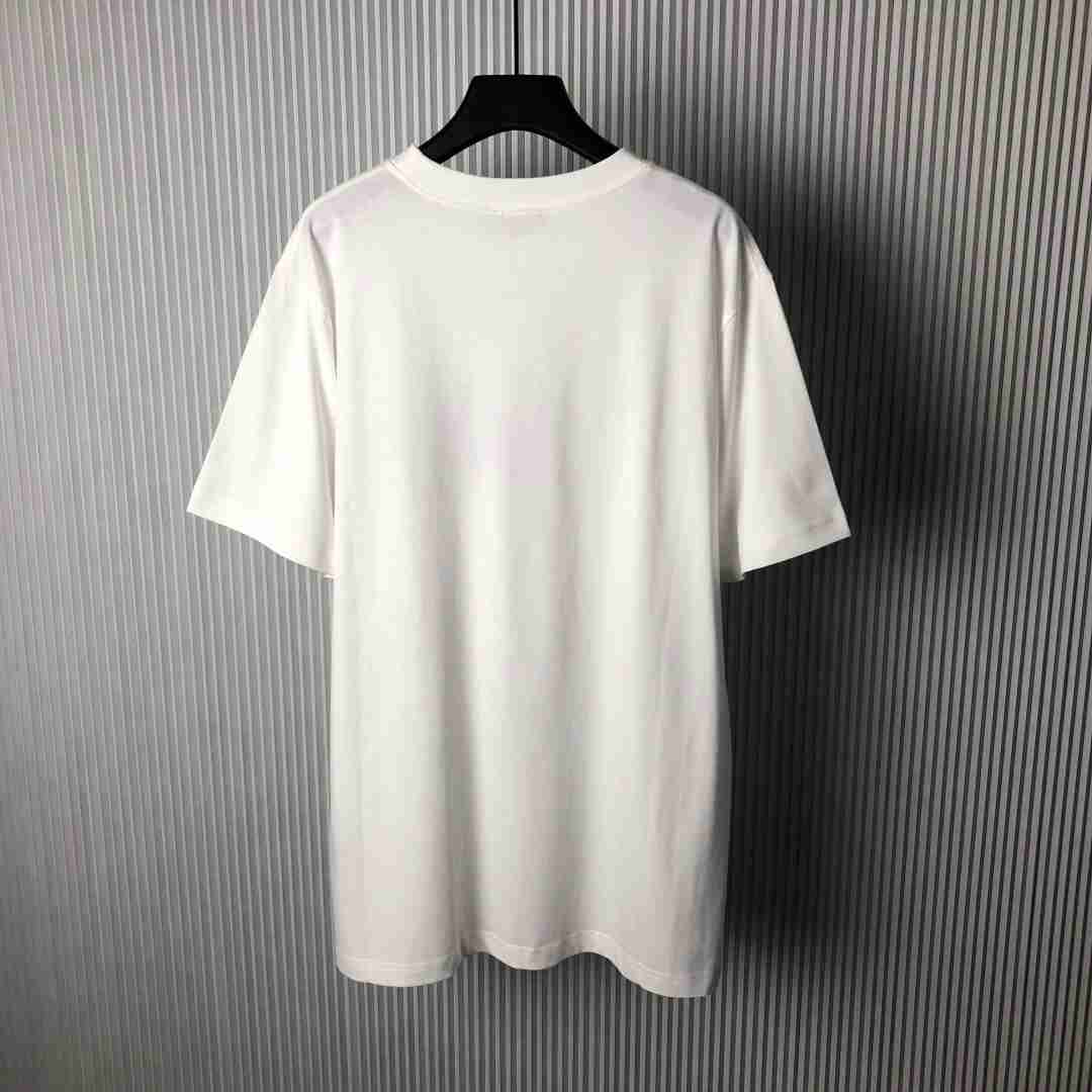 Dior T Shirt DIY0321 Dior T Shirt DIY0321