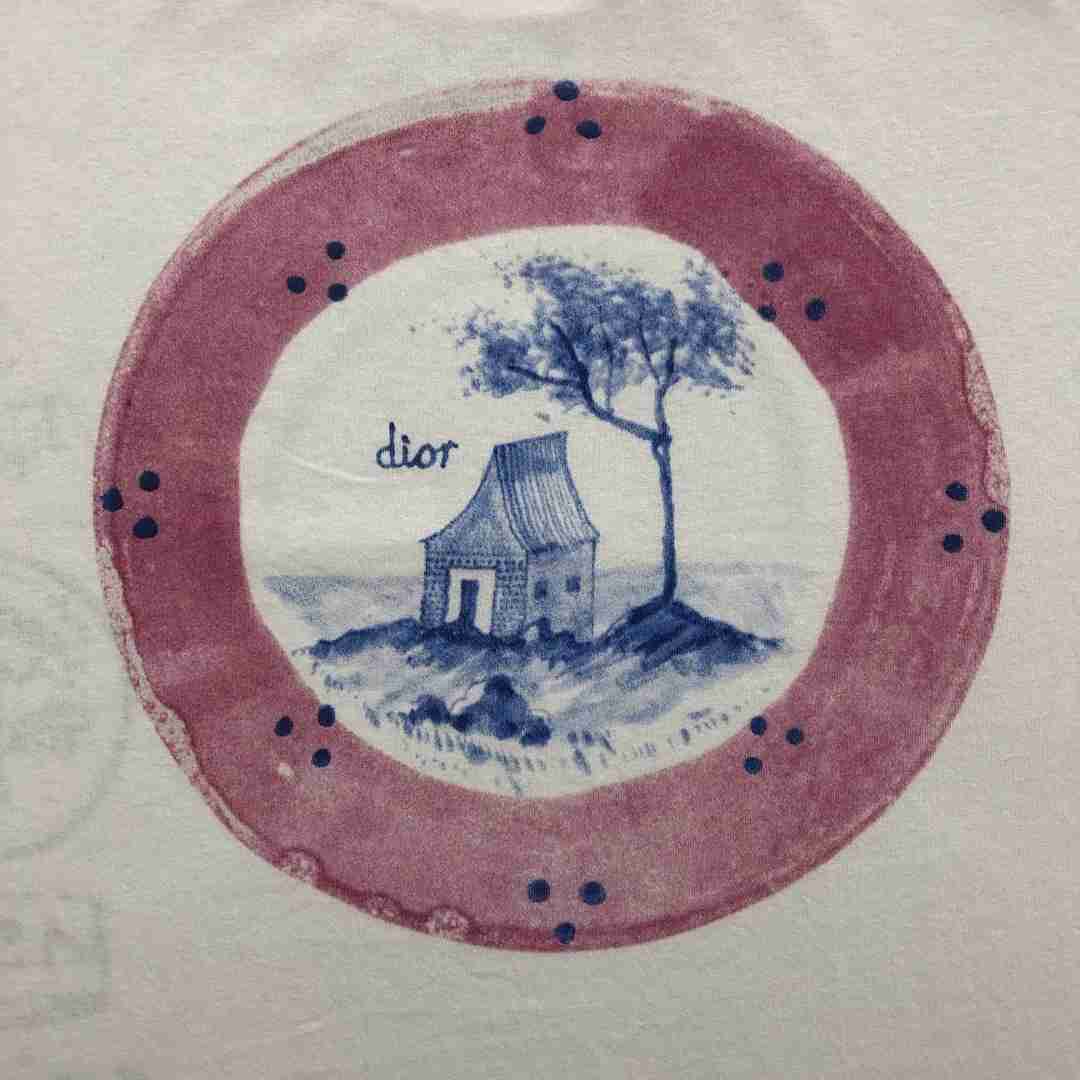 Dior T Shirt DIY0323 Dior T Shirt DIY0323