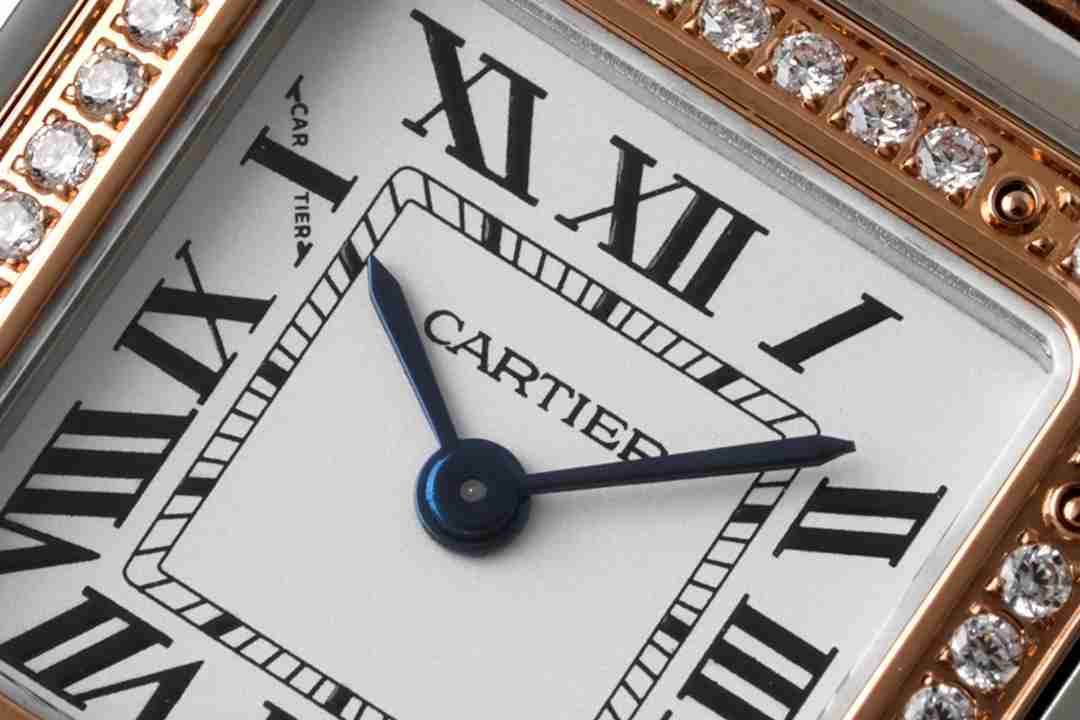 CARTIER   Panthère de 30 CA0291 （small）