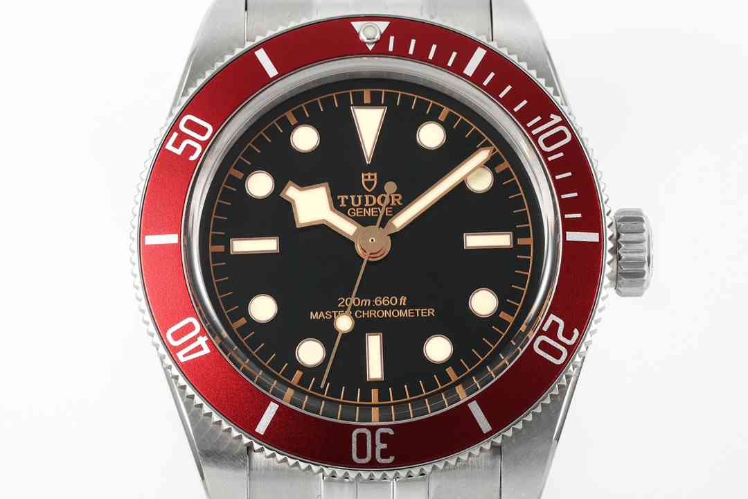 TUDOR 41mm DT0002