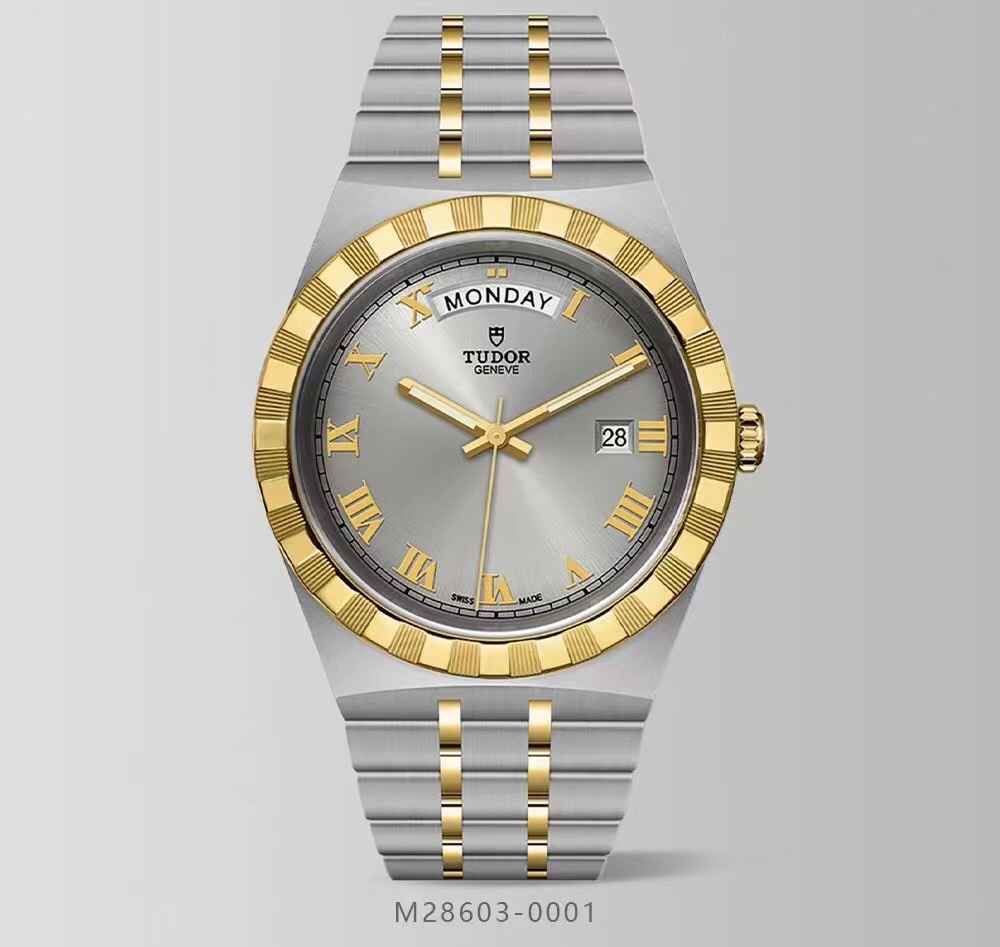 TUDOR 41mm DT0019