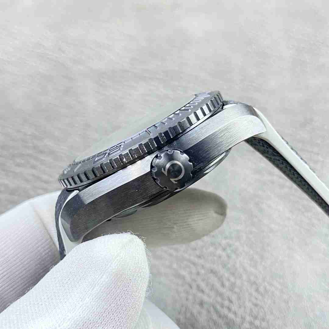 OMEGA    AQUA TERRA OM0371