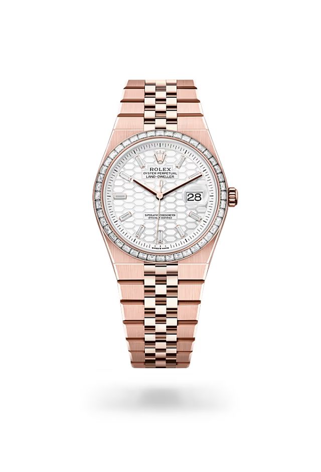 ROLEX   Land-Dweller 36 RO1893
